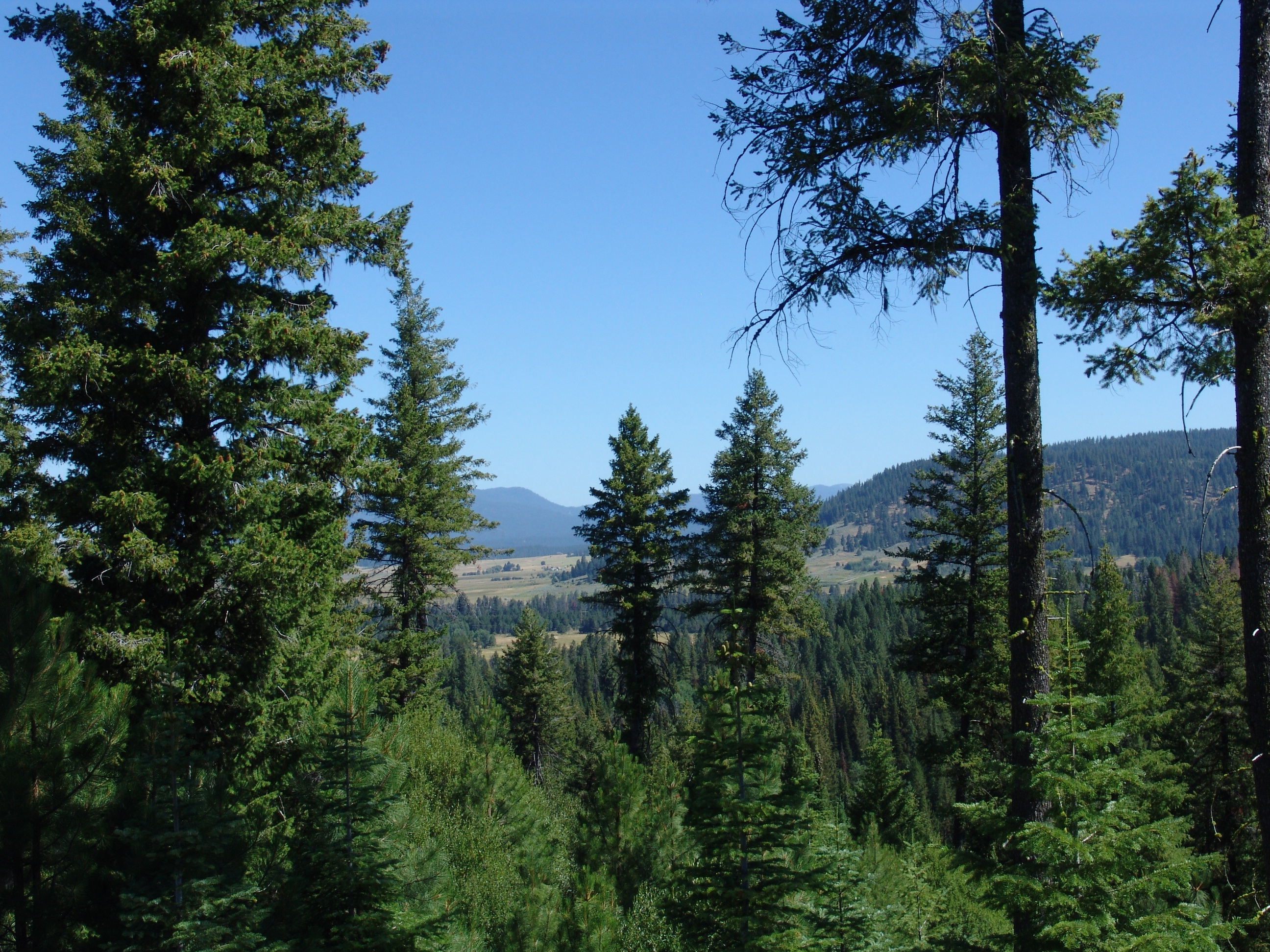 Cascade Lake Realty Bare Land Over 300K